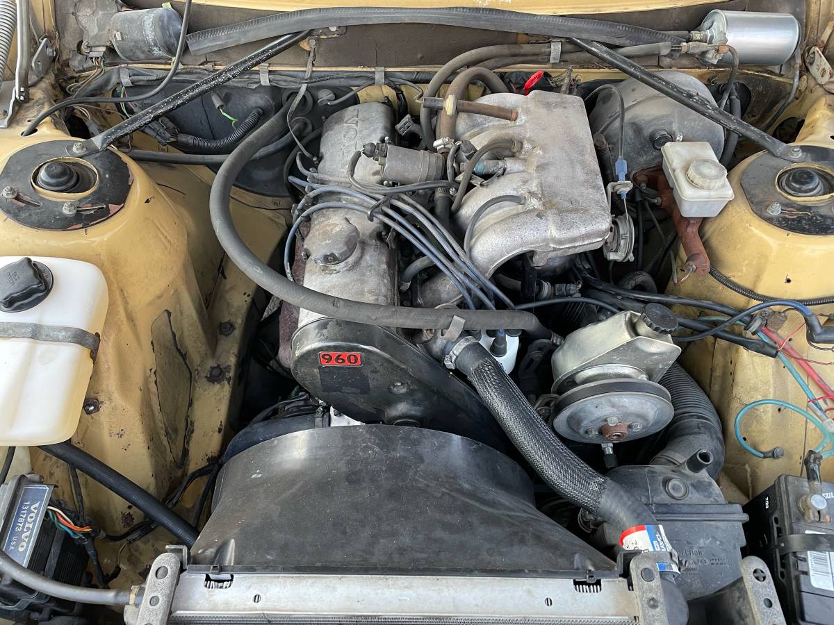 Volvo-242-1982-2
