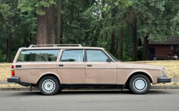 Volvo-245-1981-brown-2