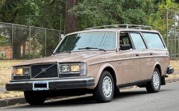 Volvo-245-1981-brown