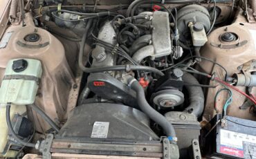 Volvo-245-1981-brown-6