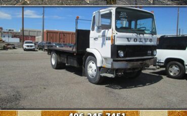 Volvo-670-diesel-1984-white