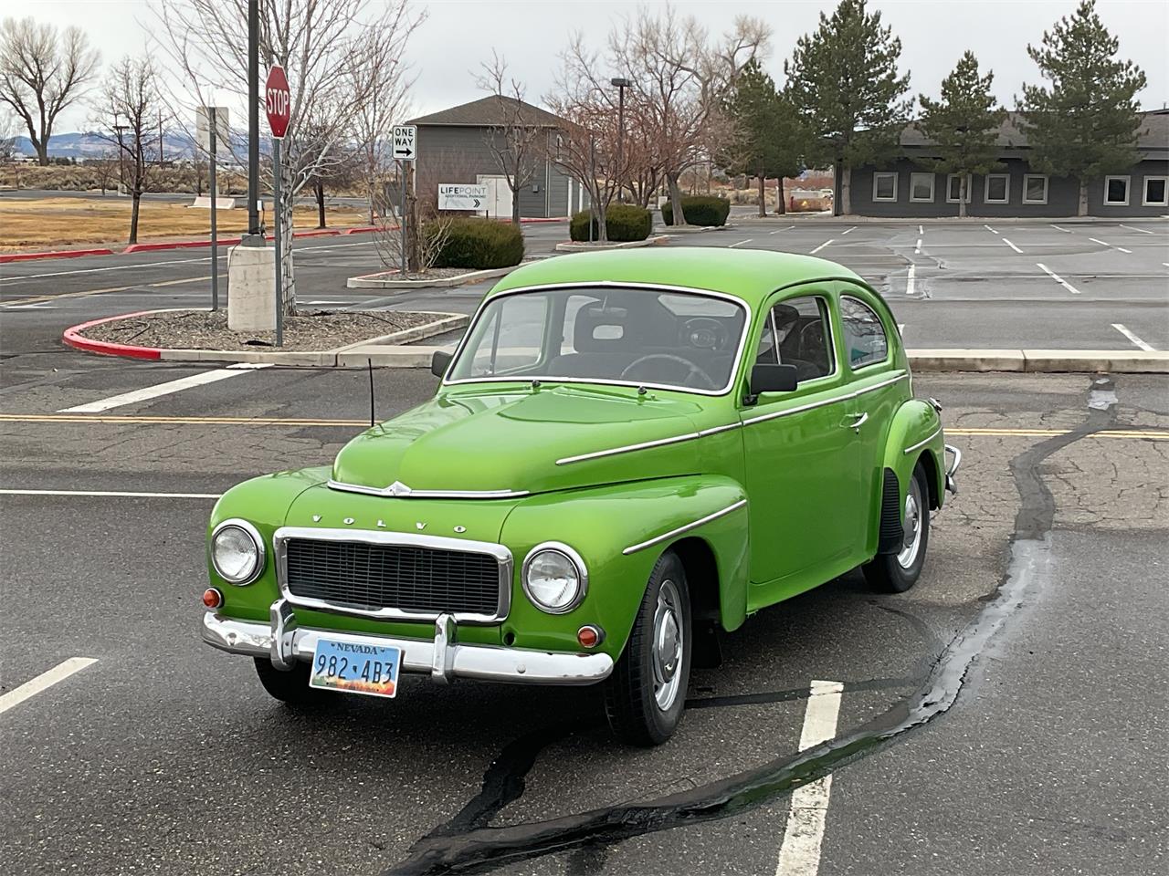 Volvo-Pv544-1965-Green-Gray-1