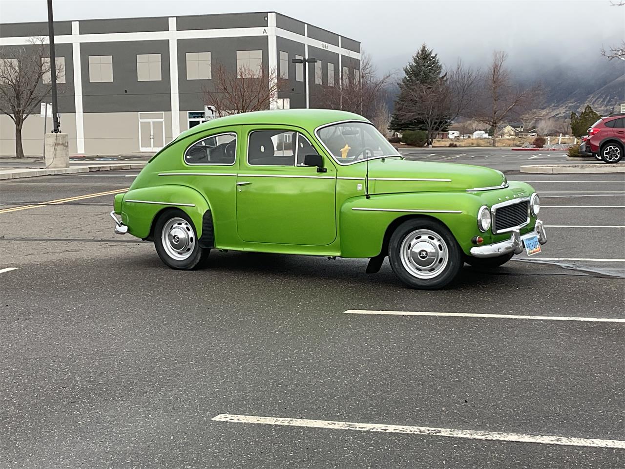 Volvo-Pv544-1965-Green-Gray-3