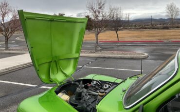 Volvo-Pv544-1965-Green-Gray-34