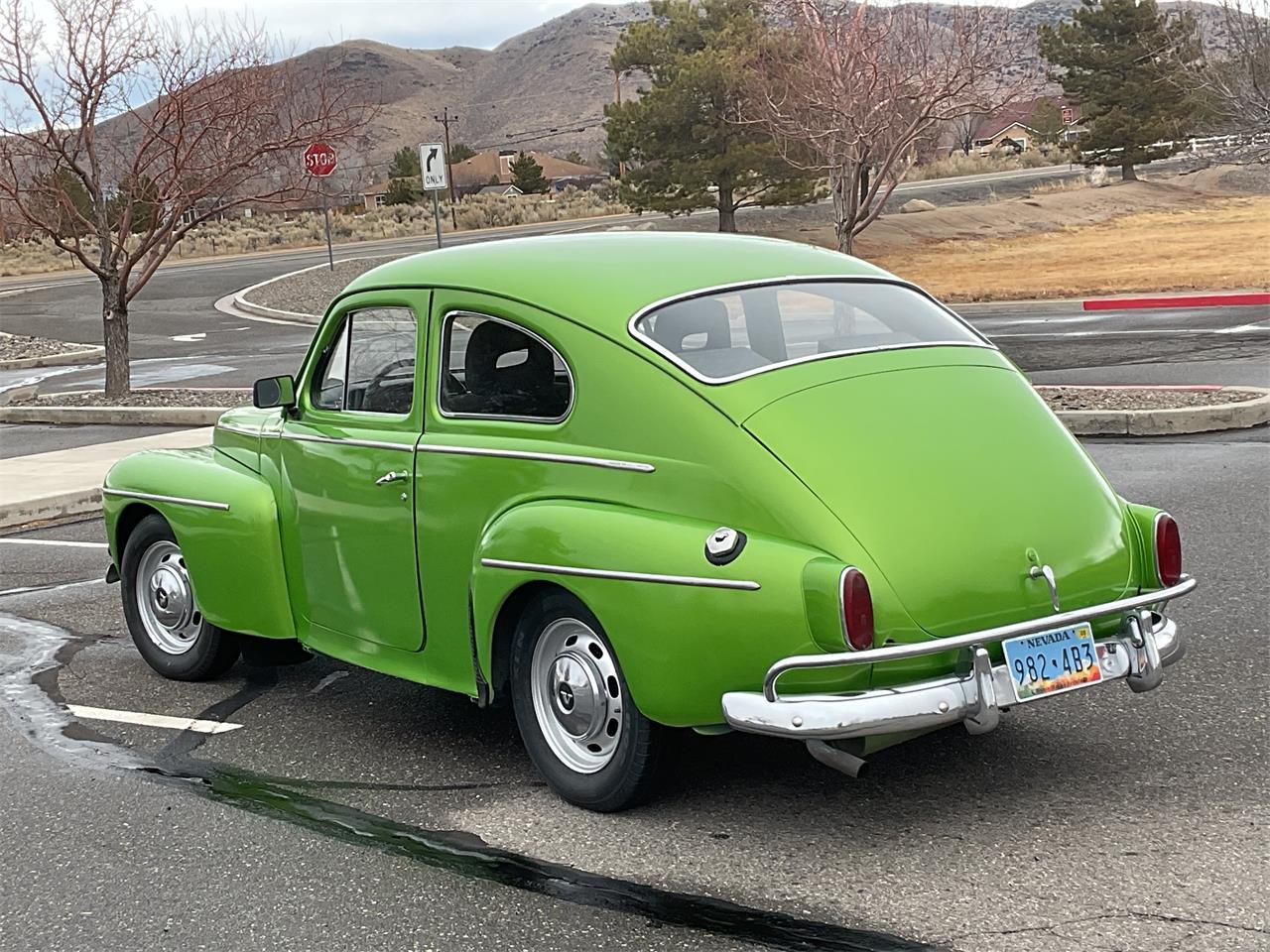 Volvo-Pv544-1965-Green-Gray-8