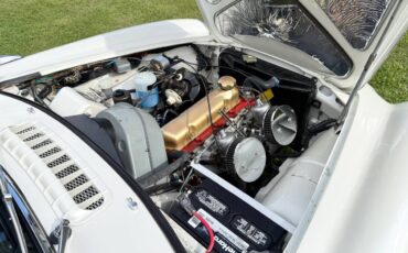 Volvo-p1800s-1800-p1800-1963-white-14