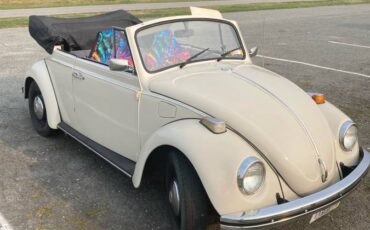 Vw-1970-custom