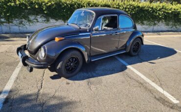 Vw-1974-custom