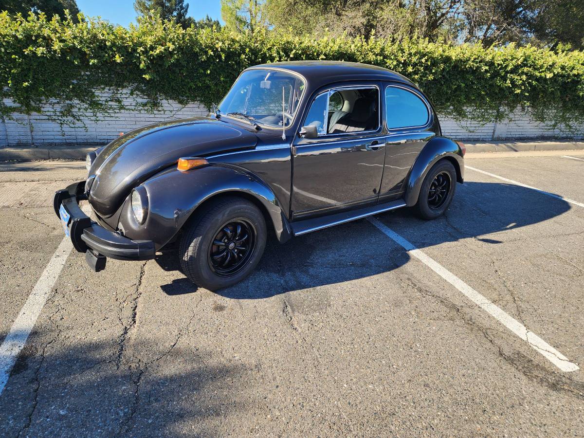 Vw-1974-custom