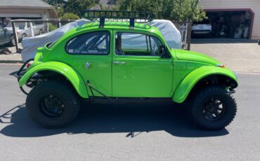 Vw-baja-bug-1969-green-1