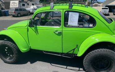 Vw-baja-bug-1969-green-3
