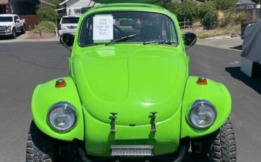 Vw-baja-bug-1969-green