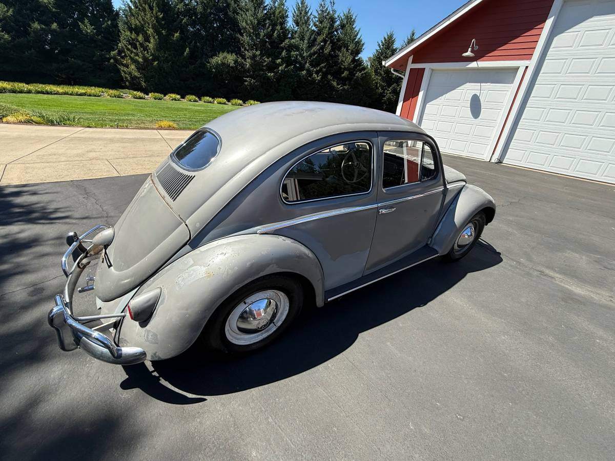 Vw-beetle-1956-silver-2