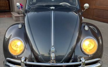 Vw-beetle-1958-grey