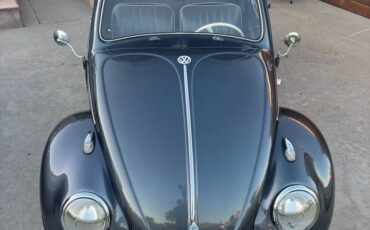 Vw-beetle-1958-grey-5