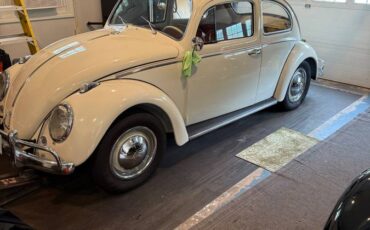 Vw-beetle-1963-white-2