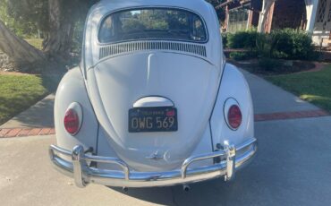 Vw-beetle-1964-white-1