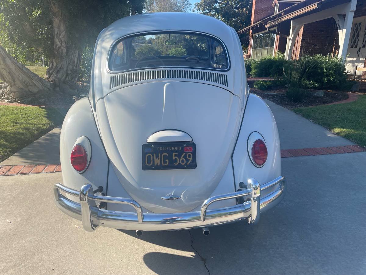 Vw-beetle-1964-white-1