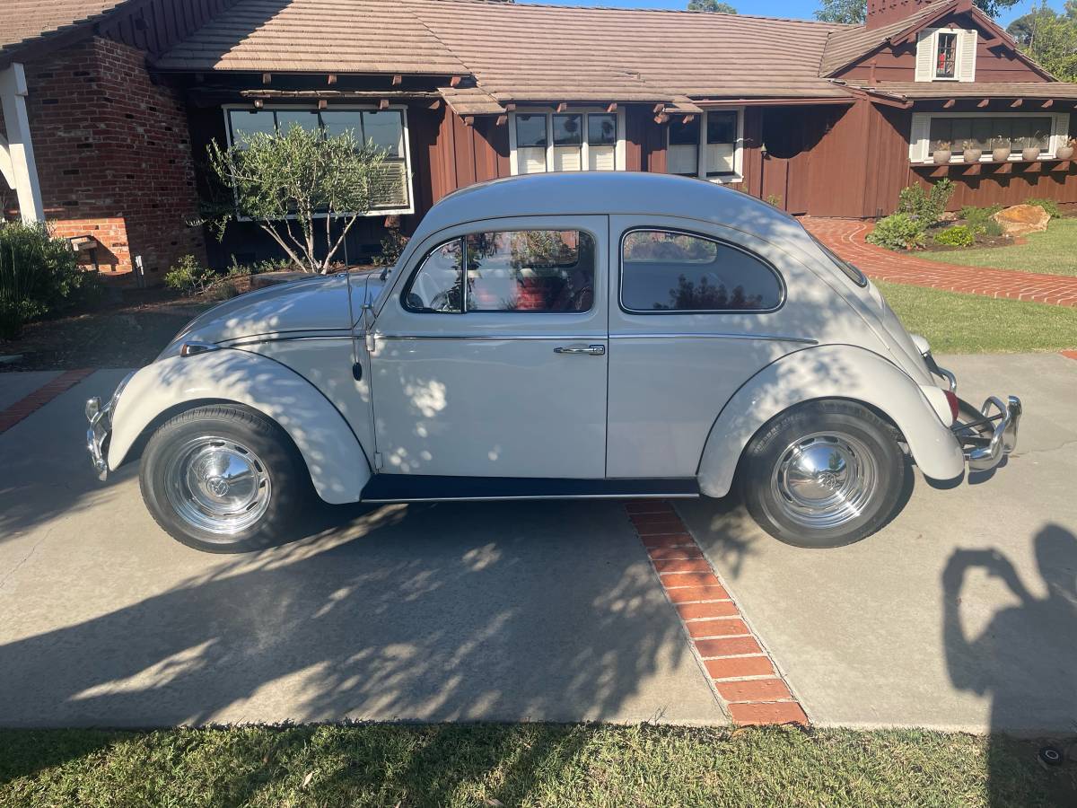 Vw-beetle-1964-white-2