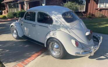 Vw-beetle-1964-white-3