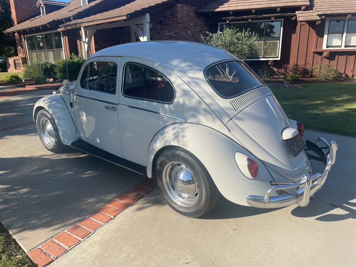 Vw-beetle-1964-white-3