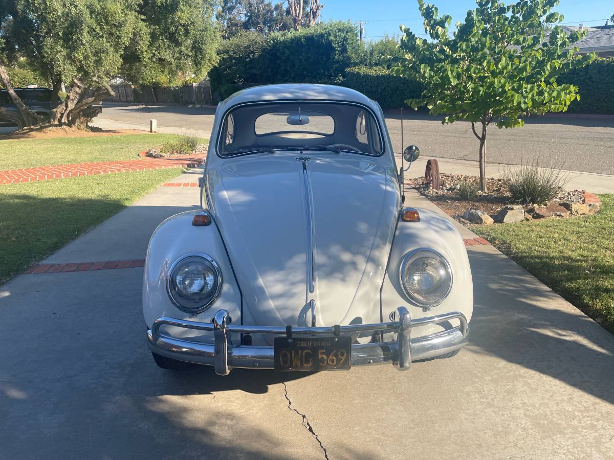 Vw-beetle-1964-white-4