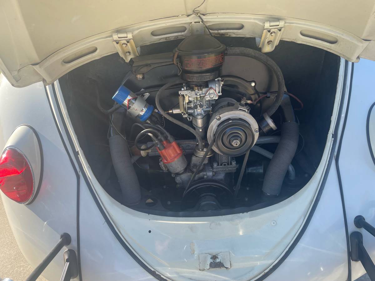 Vw-beetle-1964-white-8