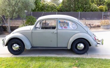 Vw-beetle-1966