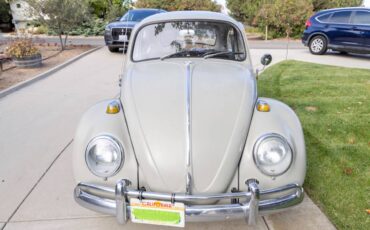 Vw-beetle-1966-2