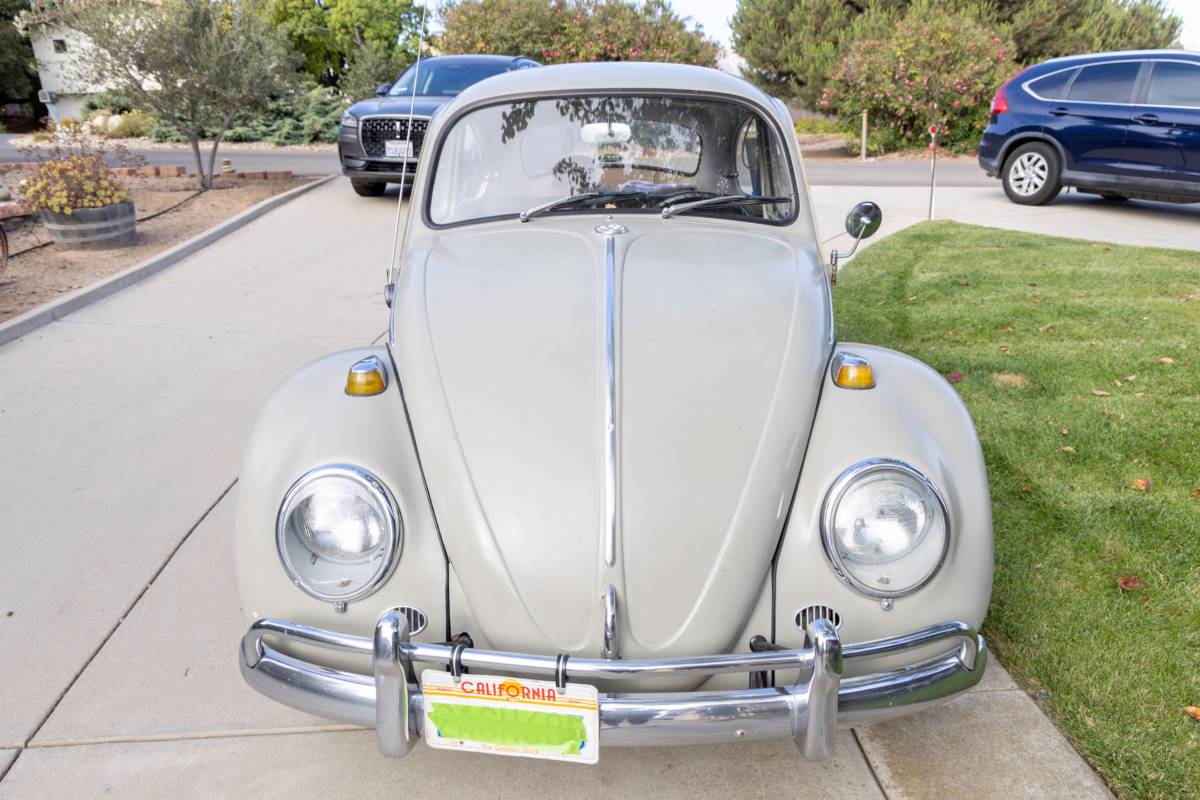 Vw-beetle-1966-2