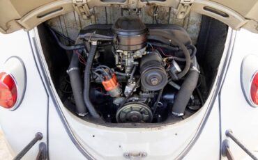Vw-beetle-1966-4