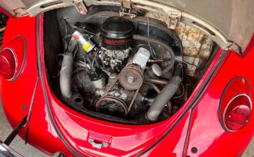 Vw-beetle-1966-red-1