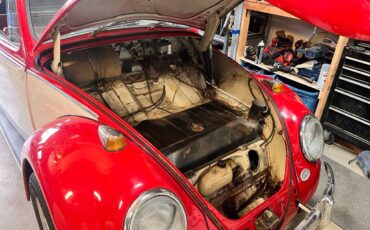 Vw-beetle-1966-red-4
