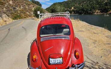 Vw-beetle-1967-red-2