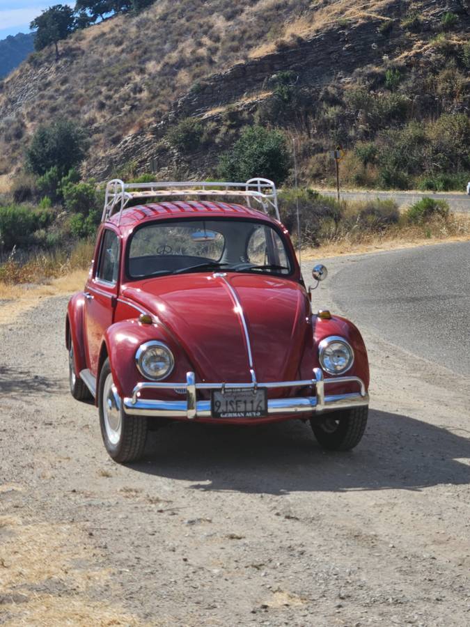 Vw-beetle-1967-red-3