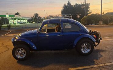 Vw-beetle-1968-blue-9