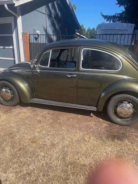 Vw-beetle-1968-green-1