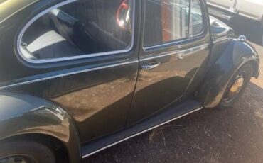 Vw-beetle-1968-green-2