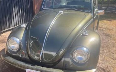 Vw-beetle-1968-green