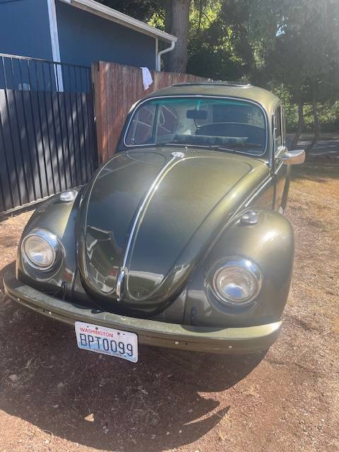 Vw-beetle-1968-green