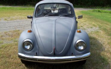 Vw-beetle-1968-grey