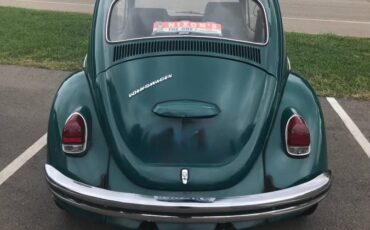 Vw-beetle-1969-green-1