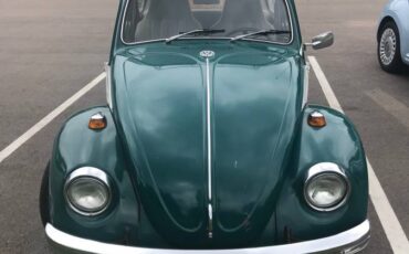 Vw-beetle-1969-green-2