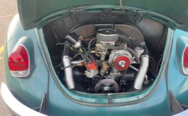 Vw-beetle-1969-green-3