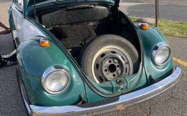 Vw-beetle-1969-green-5