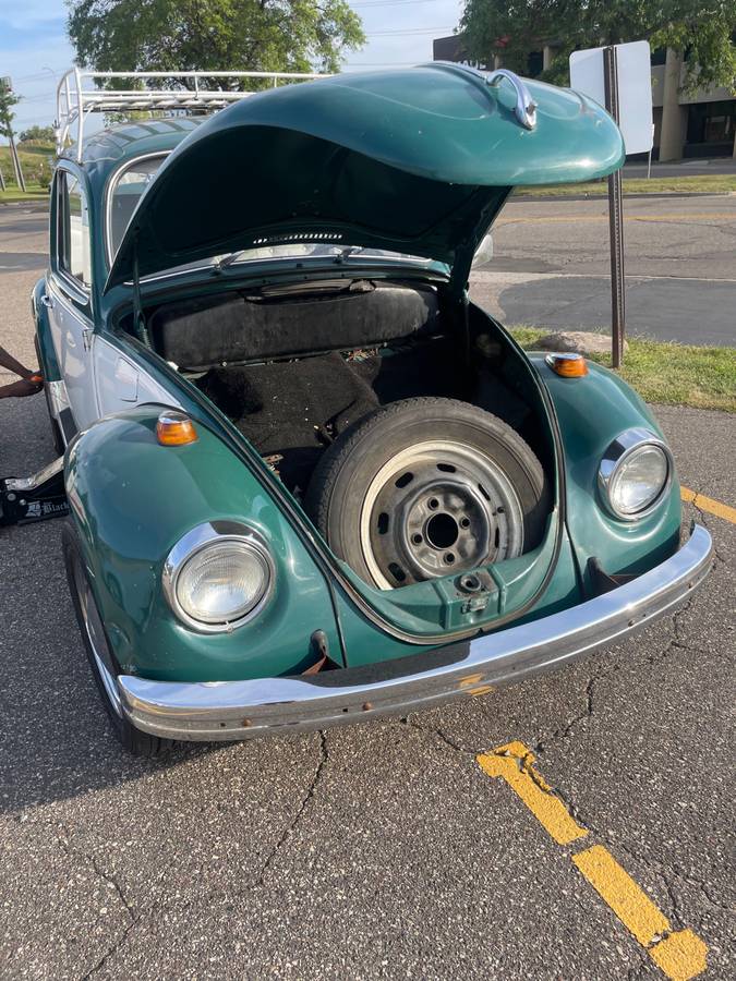 Vw-beetle-1969-green-5