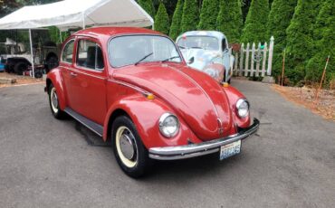 Vw-beetle-1969-red-2