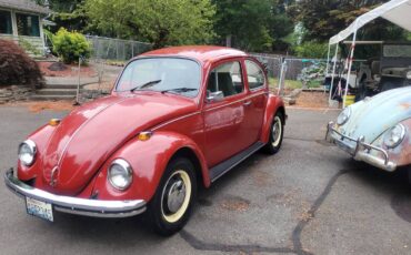 Vw-beetle-1969-red-3