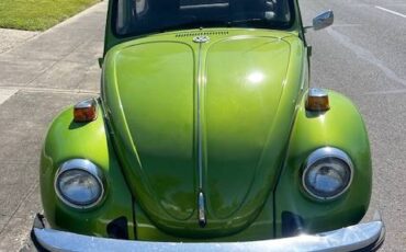 Vw-beetle-1976-green-1