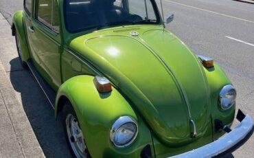 Vw-beetle-1976-green